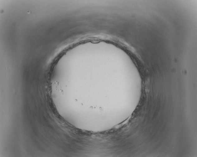 X0000068731496200605262012