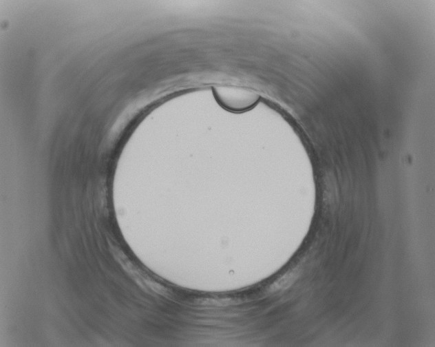 X0000068731499200605262012