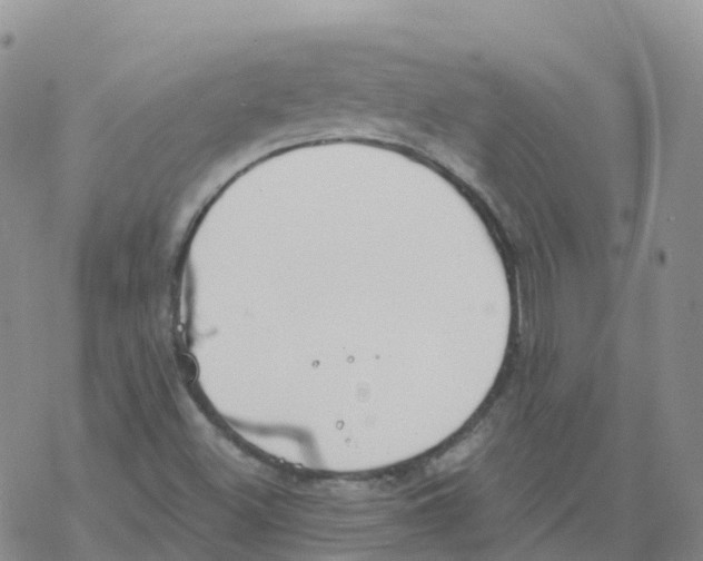 X0000068731500200605262012