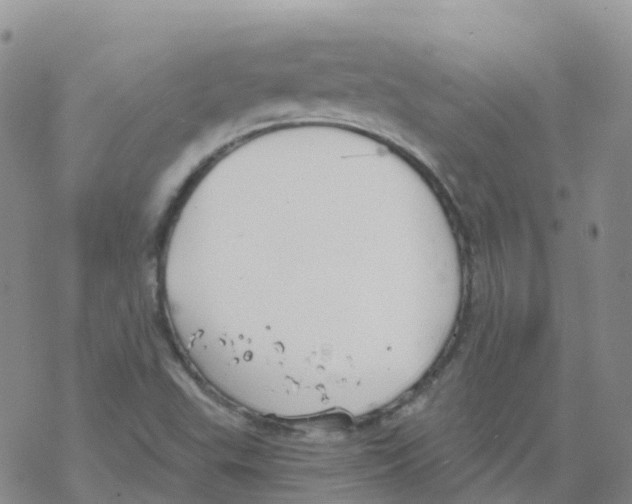 X0000068731503200605262012