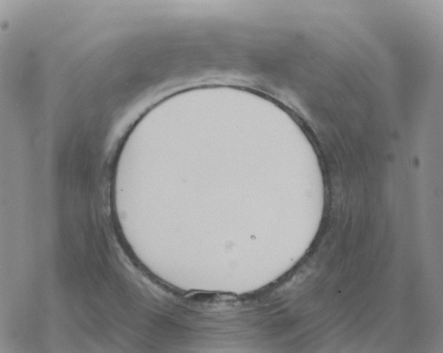 X0000068731504200605262012