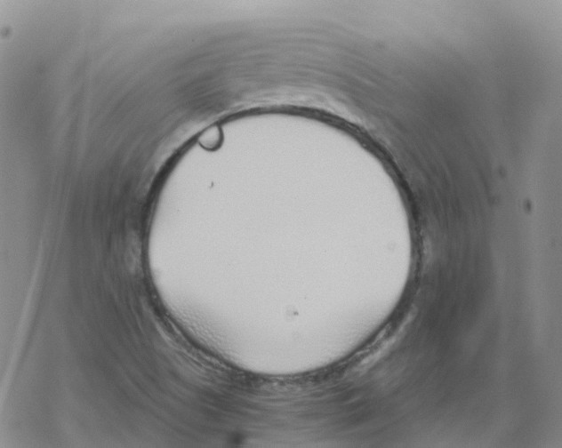 X0000068731505200605262012