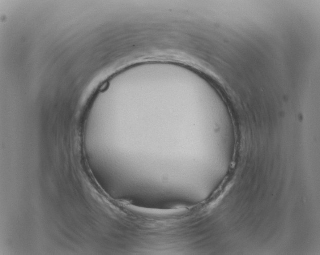 X0000068731506200605262012