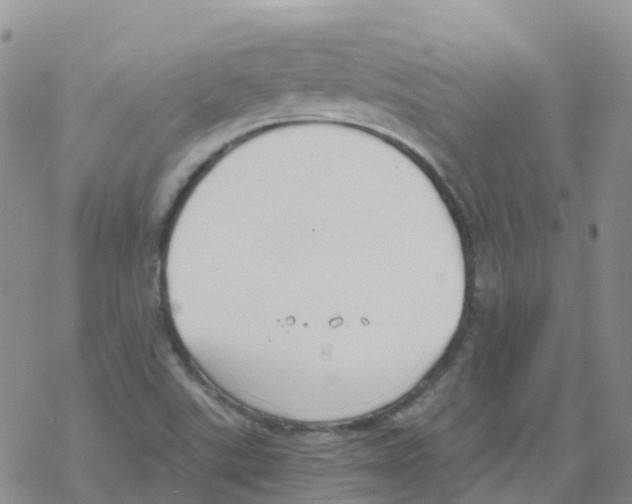 X0000068731507200605262013