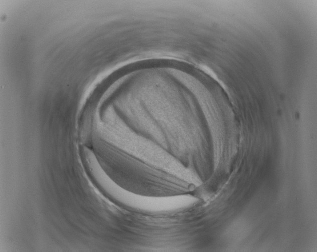 X0000068731508200605262013