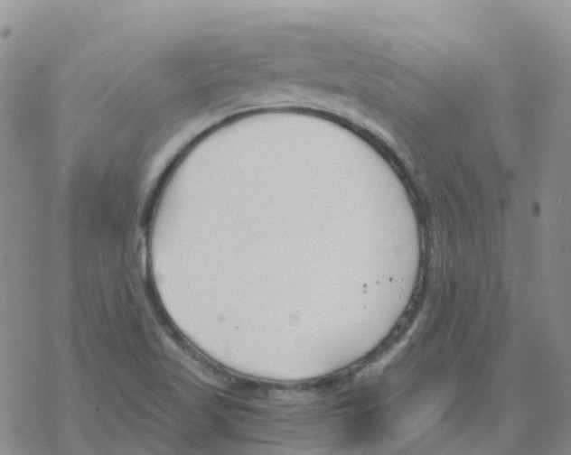 X0000068731509200605262013