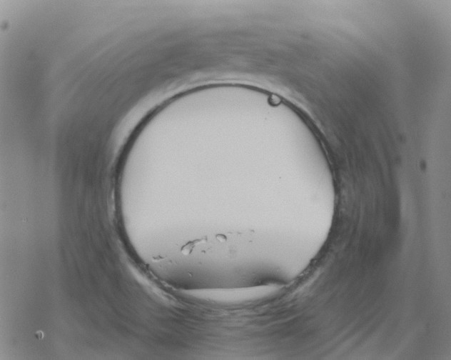 X0000068731511200605262013