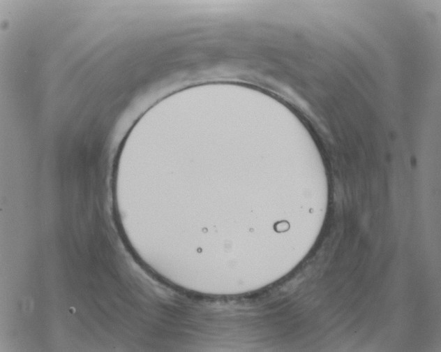 X0000068731512200605262013