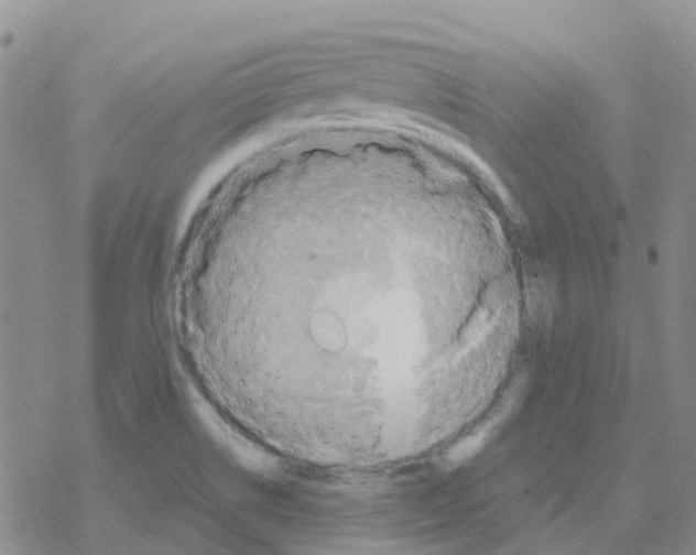 X0000068731514200605262013