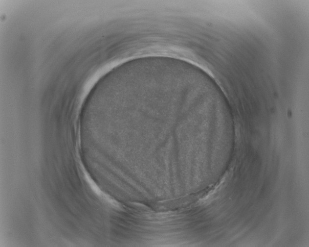 X0000068731515200605262013