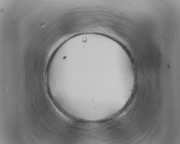 X0000068731517200605262013