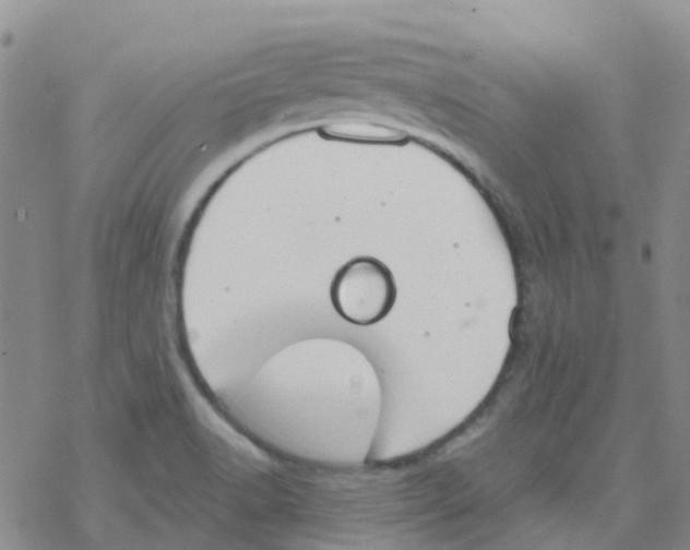 X0000068731518200605262013