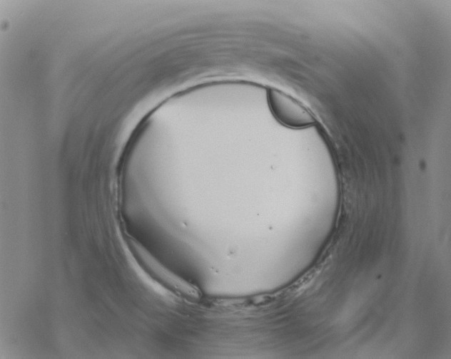 X0000068731519200605262013