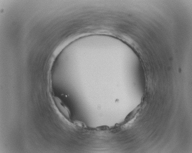 X0000068731520200605262013