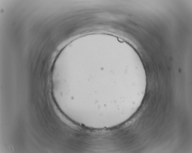 X0000068731526200605262013