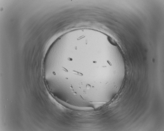 X0000068731527200605262013