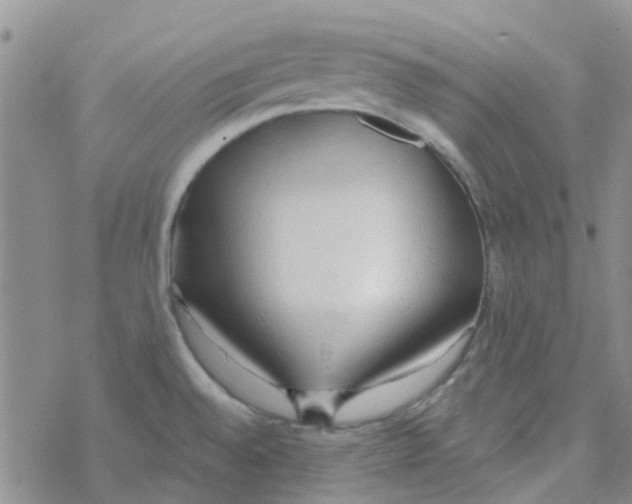 X0000068731528200605262013