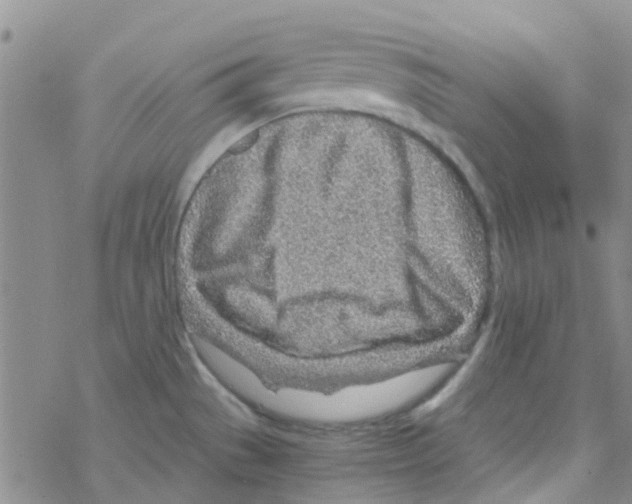 X0000068731529200605262013