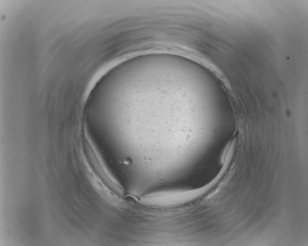 X0000068731530200605262013