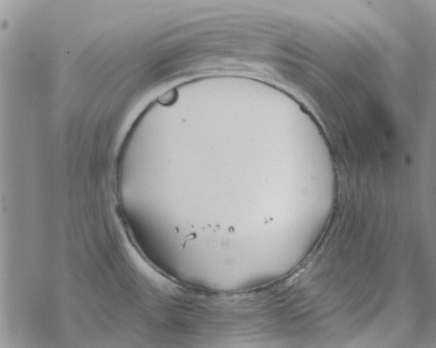 X0000068731531200605262013