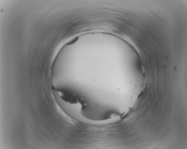 X0000068731532200605262013