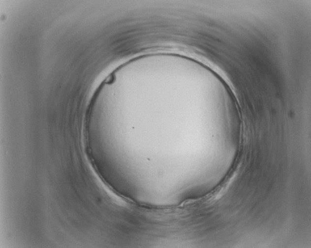 X0000068731533200605262013