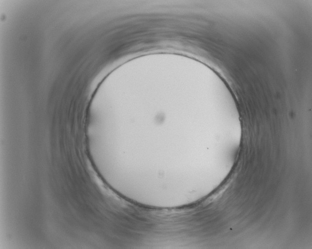 X0000068731534200605262013