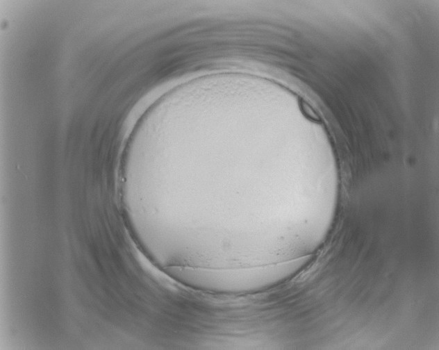 X0000068731535200605262013