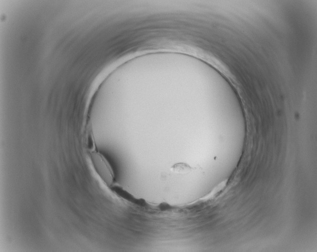 X0000068731536200605262013