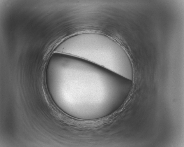 X0000068740001200604281028