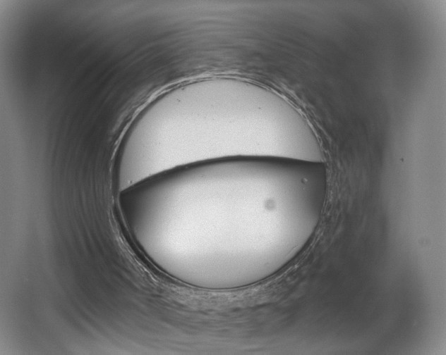 X0000068740002200604281028