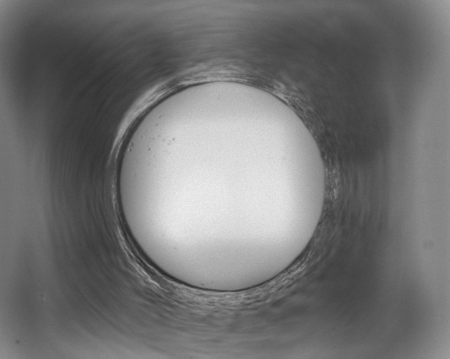 X0000068740004200604281028