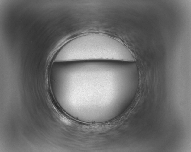 X0000068740005200604281028