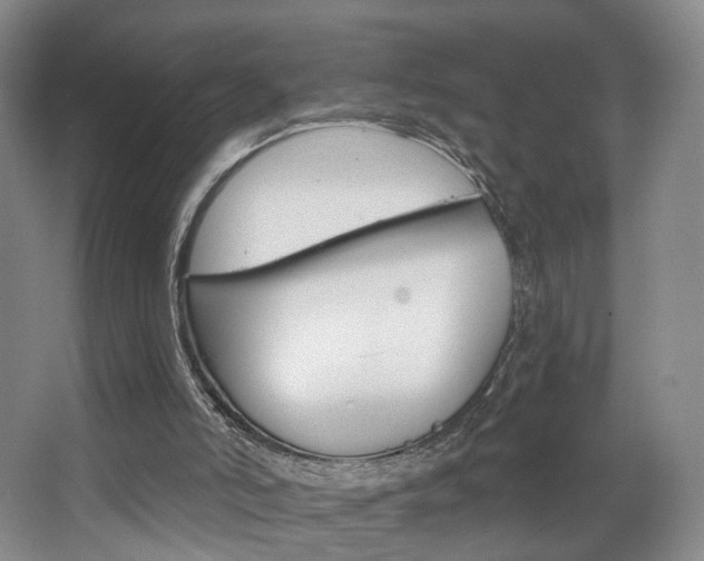 X0000068740006200604281028