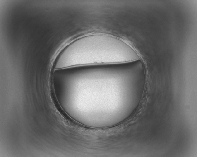 X0000068740007200604281028