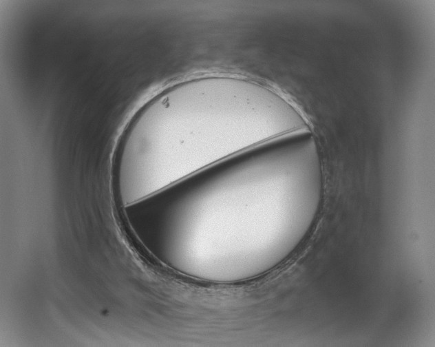 X0000068740008200604281028