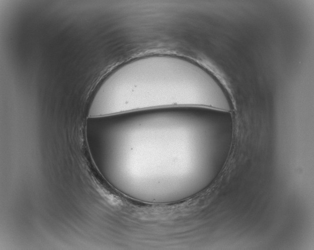 X0000068740009200604281028