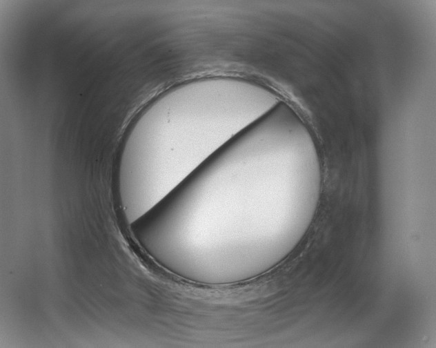 X0000068740010200604281028