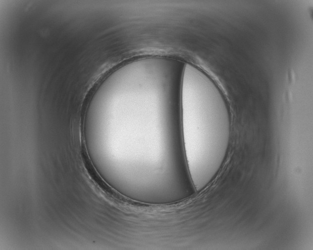 X0000068740011200604281028