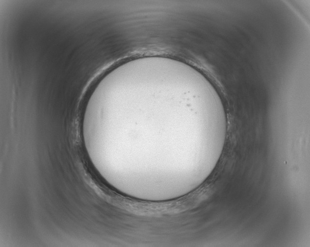 X0000068740012200604281028