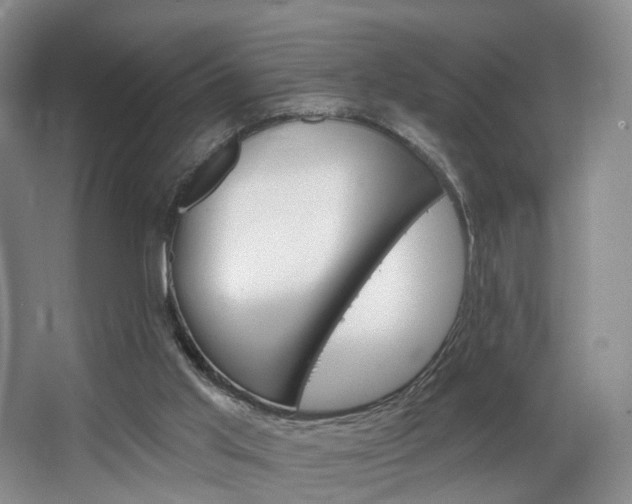 X0000068740013200604281028