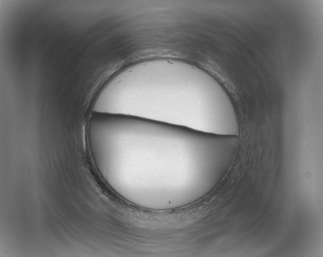 X0000068740014200604281028