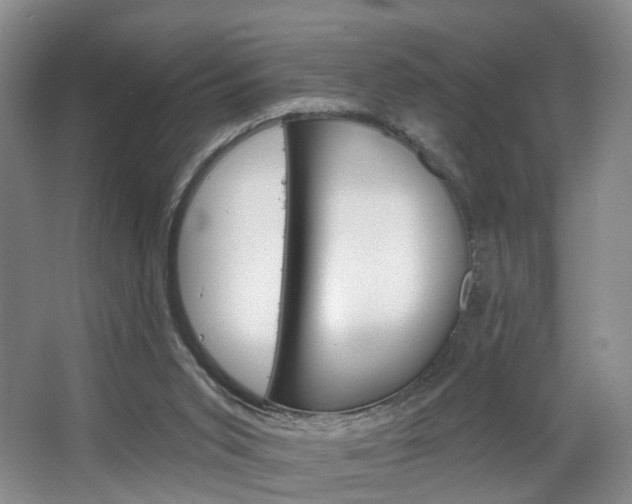 X0000068740015200604281028