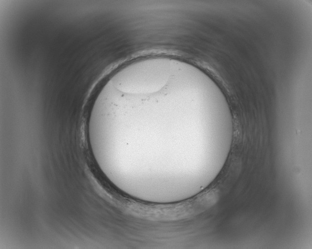 X0000068740016200604281028