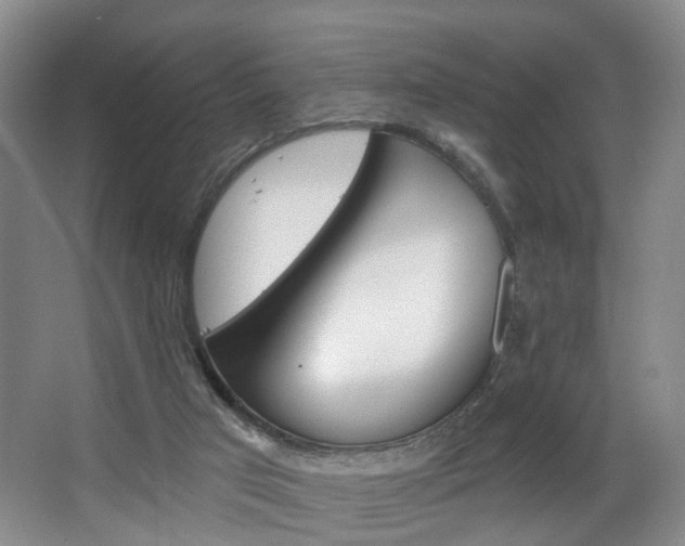 X0000068740017200604281028