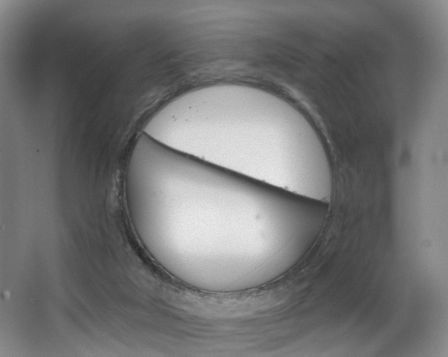 X0000068740018200604281028