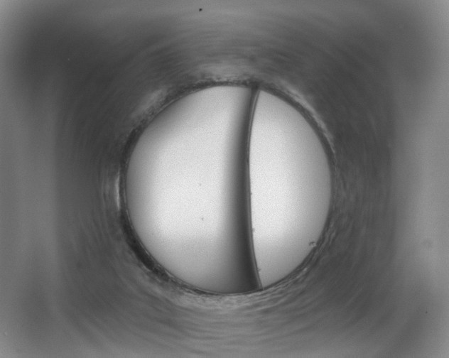 X0000068740019200604281028