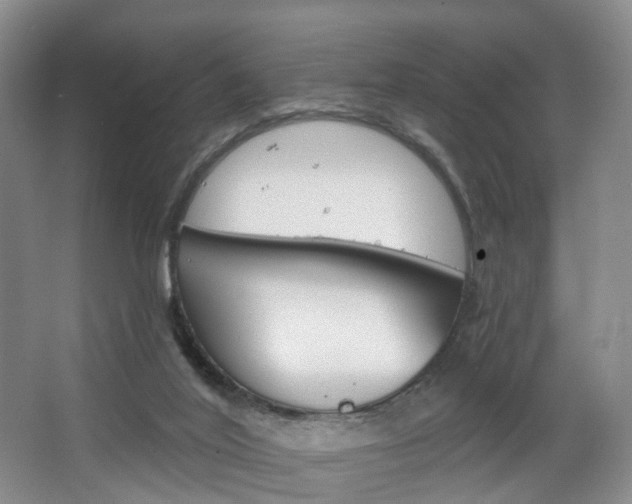 X0000068740020200604281028