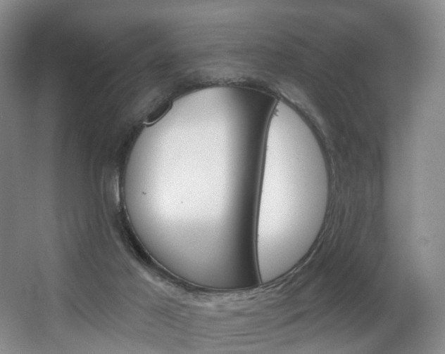 X0000068740021200604281028