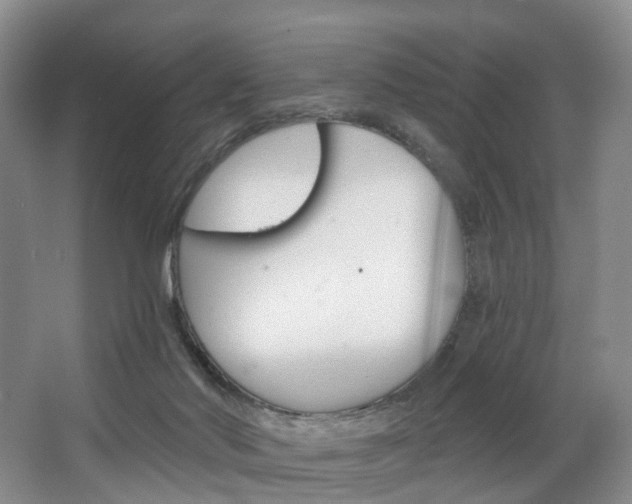 X0000068740022200604281028